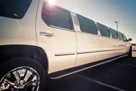Coach & Party Buses